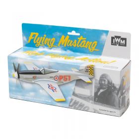 ceiling plane toy |